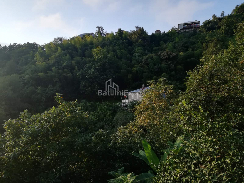 Жеке үй 2501 м² - Акаки Шайнидзе, Khelvachauri, Грузия