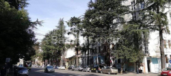 Пәтер 3-комн 61 m² - Николоз Бараташвили, Batumi