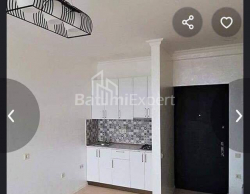 Пәтер 2-комн 45 m² - Илья Чавчавадзе, Batumi