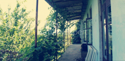 Жеке үй 3065 м² - Ағмашенебелі, Chakvi, Грузия
