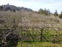 жер телімі 4260 м² - Дэвид Агмашенебели, Kobuleti, Грузия