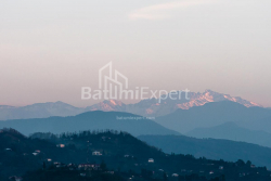Пәтер 33.1 м² - Шалва Инасаридзе, Batumi, Грузия