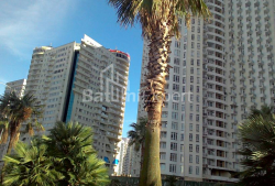 Пәтер 29 м² - Зураба Горгиладзе, Batumi, Грузия