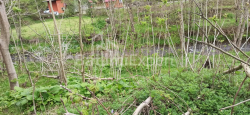 сауда аймағы 401 м² - Мезгварта, Chakvi, Грузия