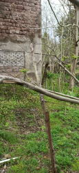 сауда аймағы 401 м² - Мезгварта, Chakvi, Грузия