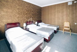 Қонақ үй 26-комн 1000 m² - Петр Ибери, Gonio