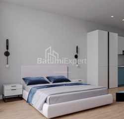 Пәтер 1-комн 30.3 m² - Шалва Инасаридзе, Batumi
